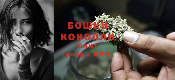 Альфа ПВП Володарск
