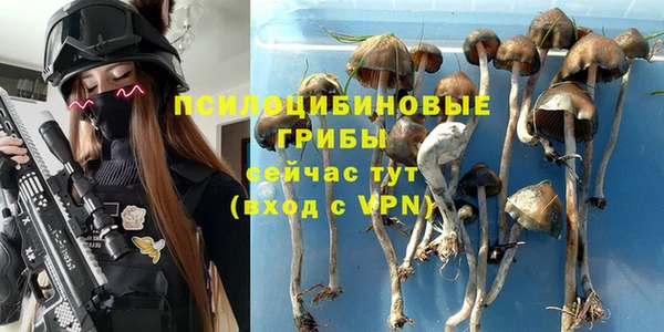 дмт Верея