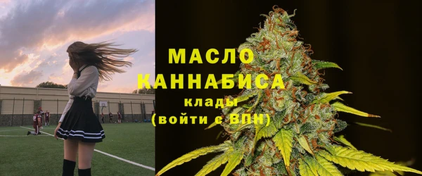 дмт Верея